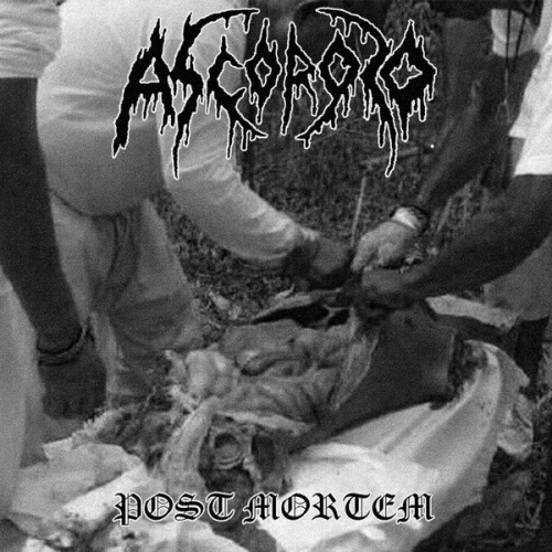 Ascoroso : Post Mortem